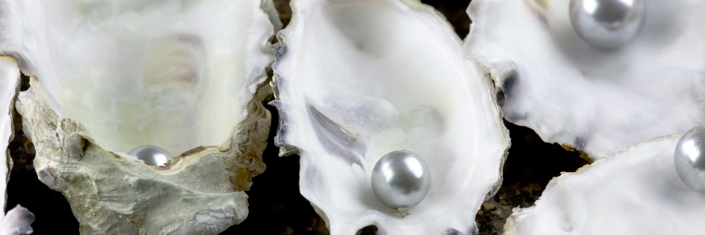 oyster-pearl-03