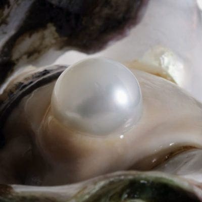 What is a Pearl?