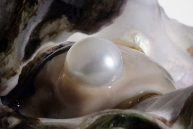 How Pearls are Formed